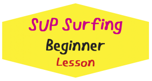 sup surfing beginner